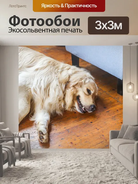 Фотообои Золотая собака