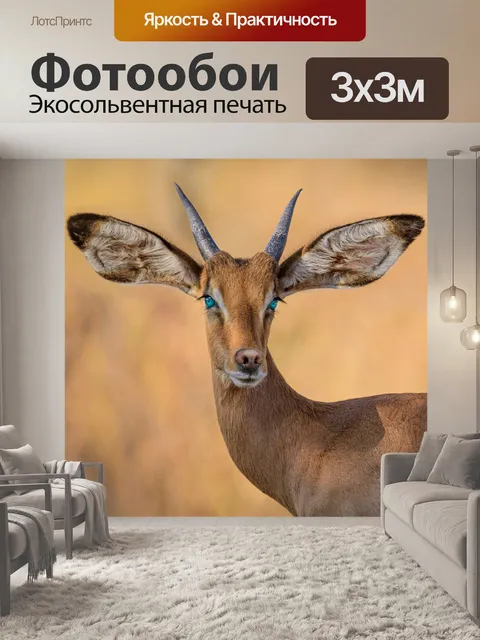 Фотообои Фотоманипуляции