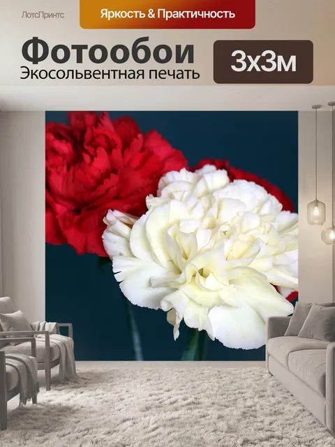 Фотообои Красные и белые гвоздики