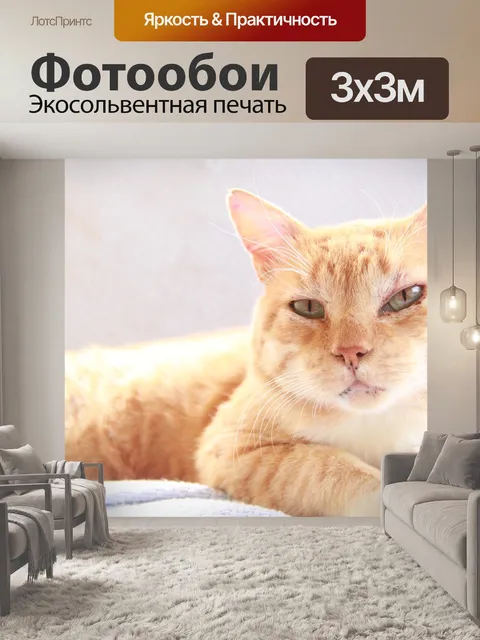Фотообои Кошка