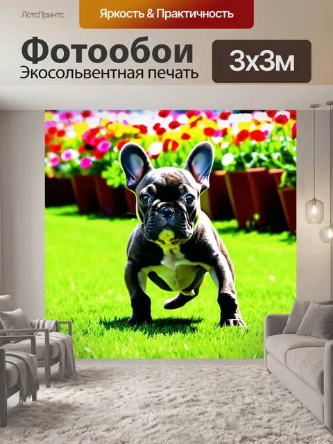 Фотообои на фотографии запечатлён росток французского бульдога, играющего на зеленом лужайке в парке