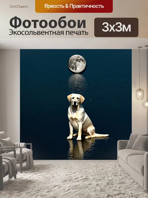 Фотообои серебристая луна отражается в спокойном озере