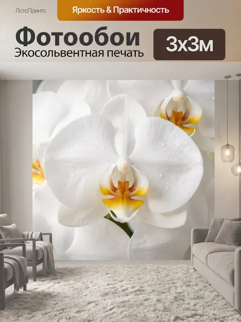 Фотообои Белые орхидеи с каплями росы