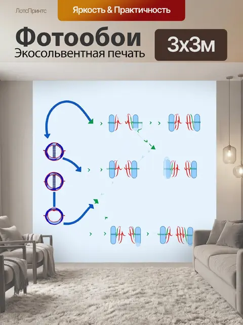 Фотообои работоспособная схема