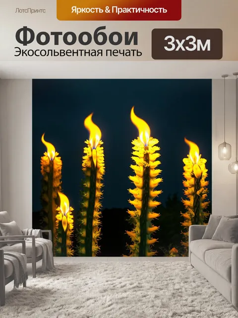 Фотообои композиция с несколькими бутонными пахистахисами