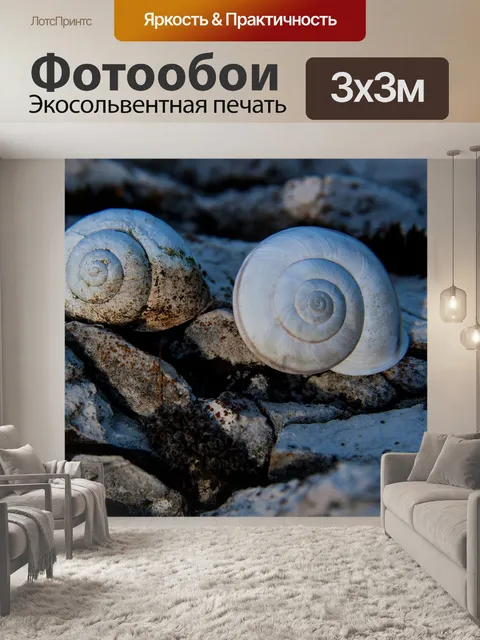 Фотообои Улитки