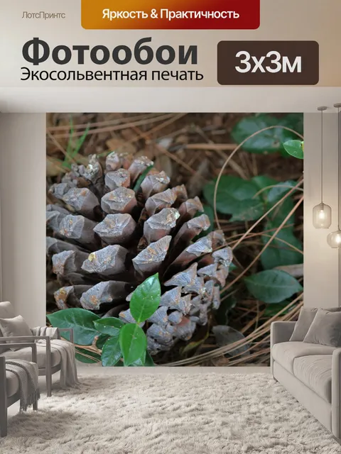 Фотообои сухой сосновый конус среди сухих игл