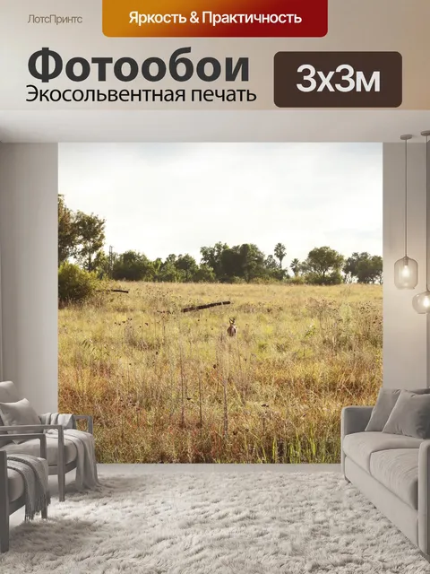Фотообои Одинокая антилопа стоит на лугах