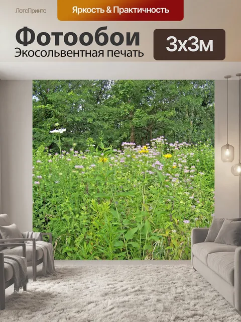Фотообои Полевые цветы в поле