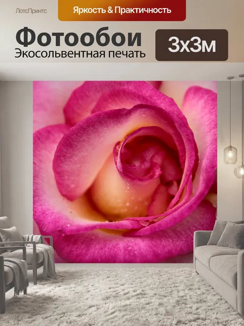 Фотообои Pink rose