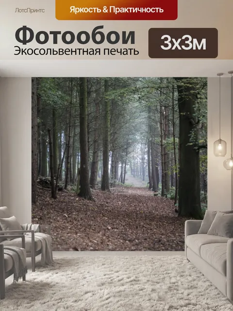 Фотообои Туманный лес