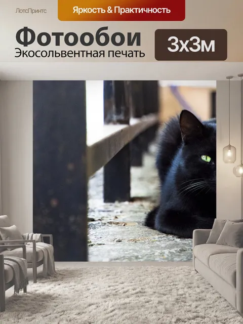 Фотообои Гатто
