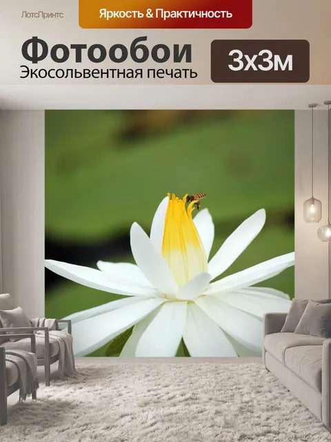 Фотообои пчела на белый цветок лотоса
