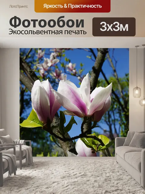 Фотообои Расцветает