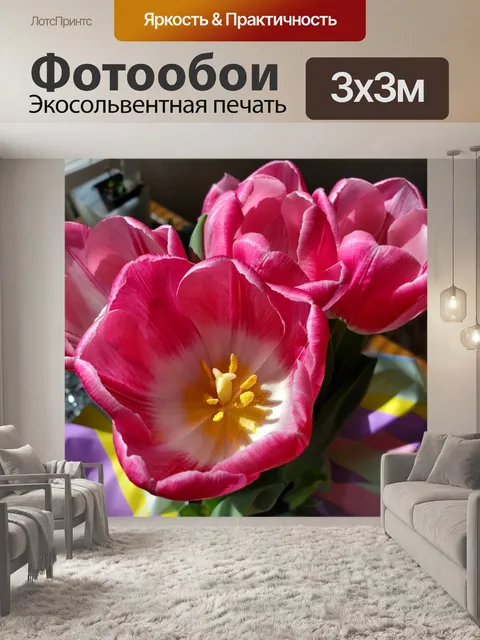 Фотообои Букет розовых тюльпанов