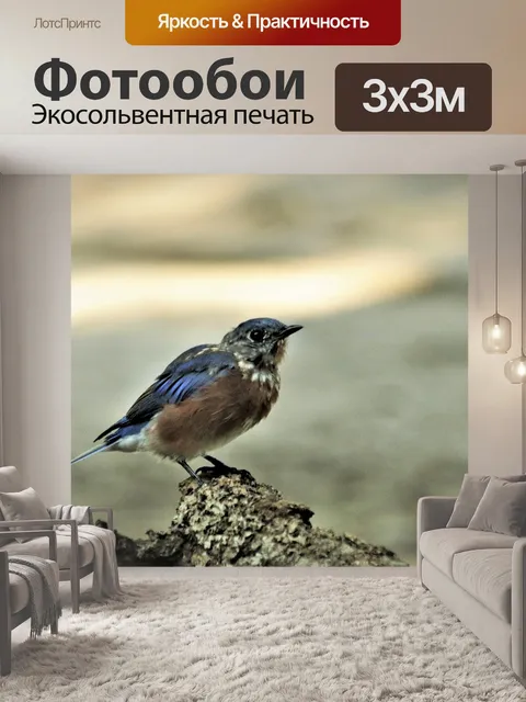 Фотообои Молодая восточная синяя птица на ветке