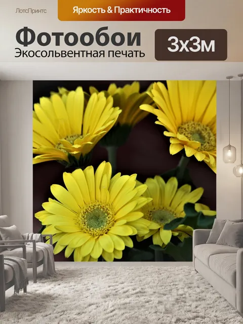 Фотообои Желтые герберские ромашки