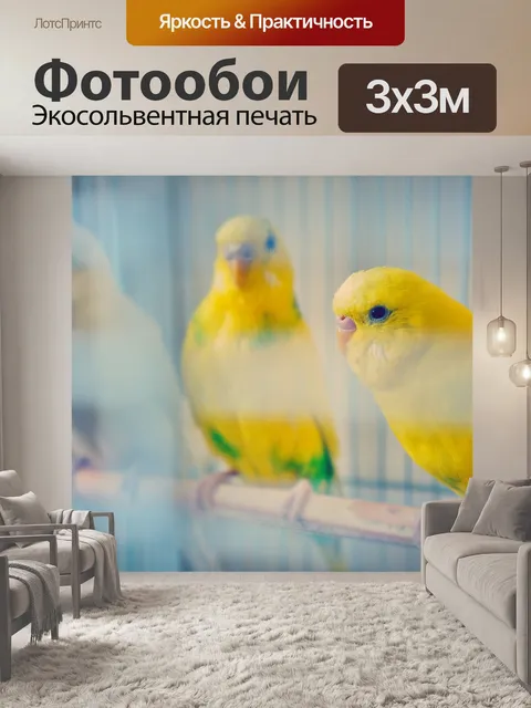 Фотообои Волнистый попугайчик