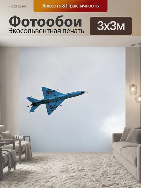 Фотообои Миг 21