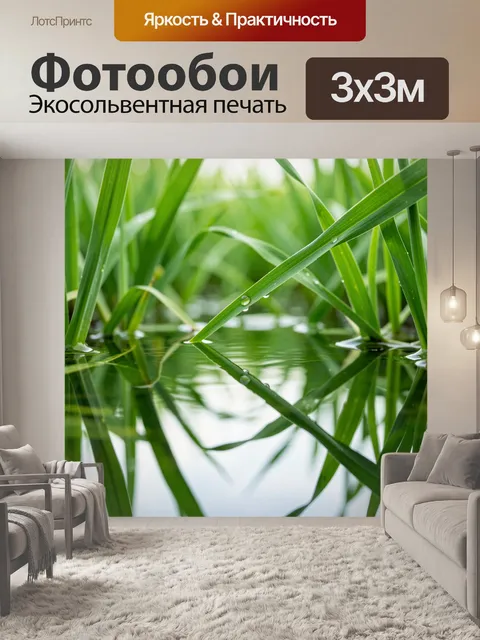 Фотообои Капли на зелёных стеблях травы