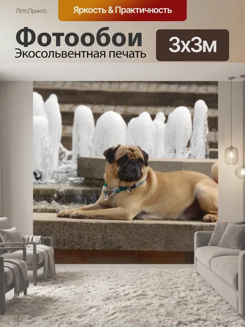 Фотообои Мопс