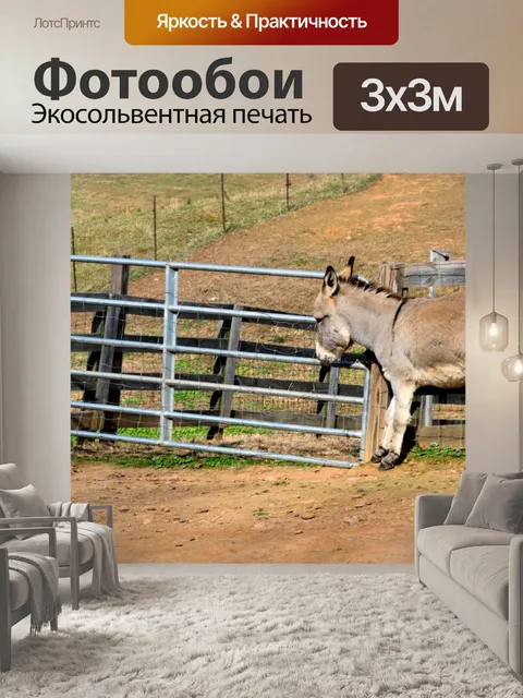 Фотообои Осел на фоне фермы