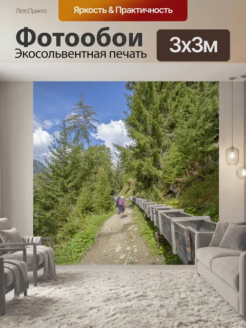 Фотообои Летний лесной путь