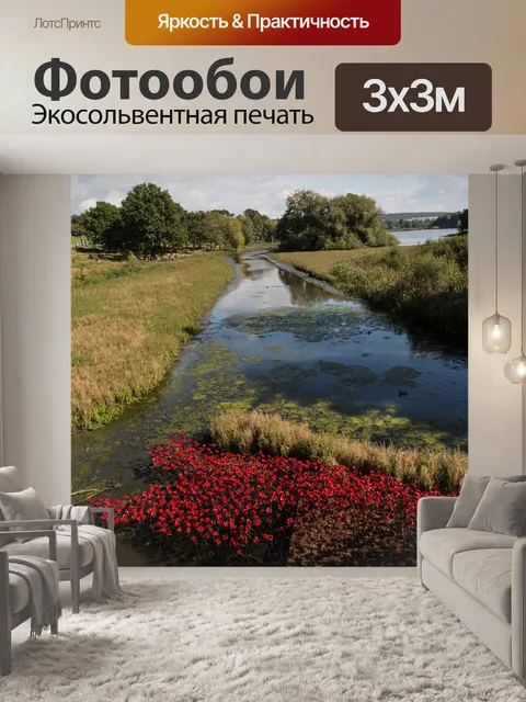Фотообои Почтить память жертв, красные маки