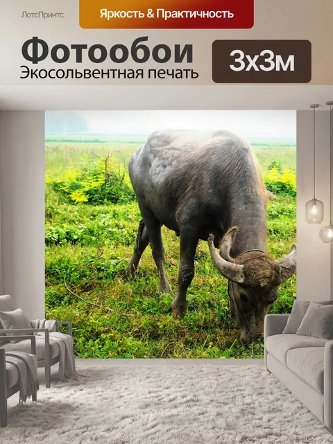 Фотообои Буйвол