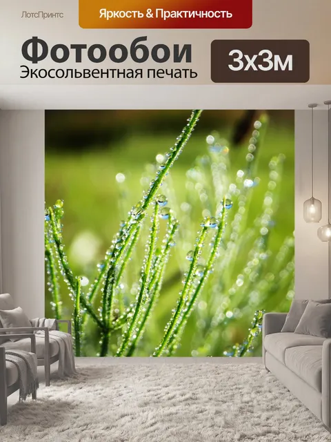 Фотообои Капли росы