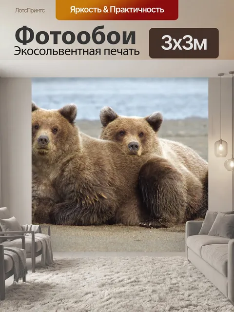 Фотообои Медведи