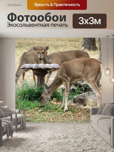 Фотообои Три оленя в бане для птиц