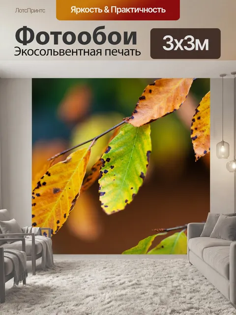 Фотообои красочные листья бука