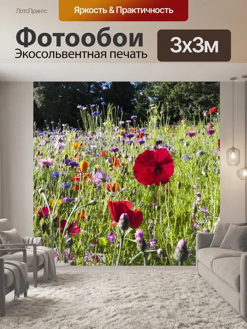 Фотообои Poppy Flowers в Луг