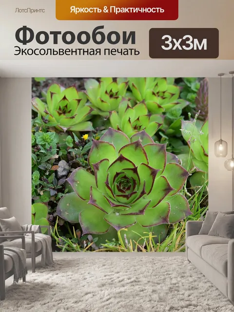 Фотообои Цветы