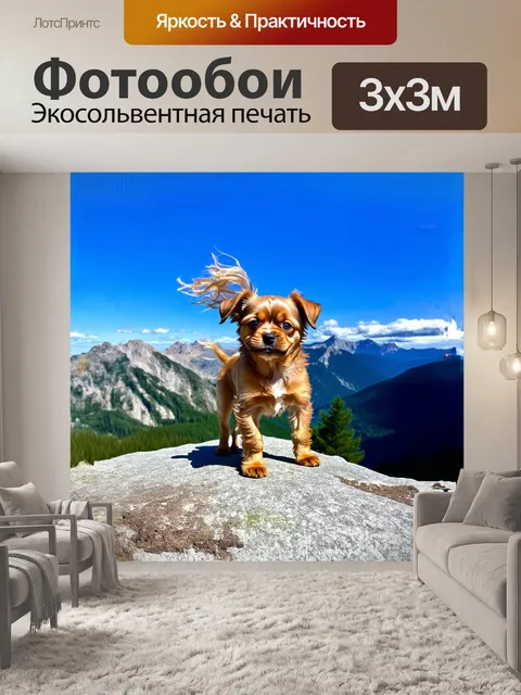 Фотообои щенок брюссельского гриффона стоит на высоком холме, его шерсть развевается на ветру