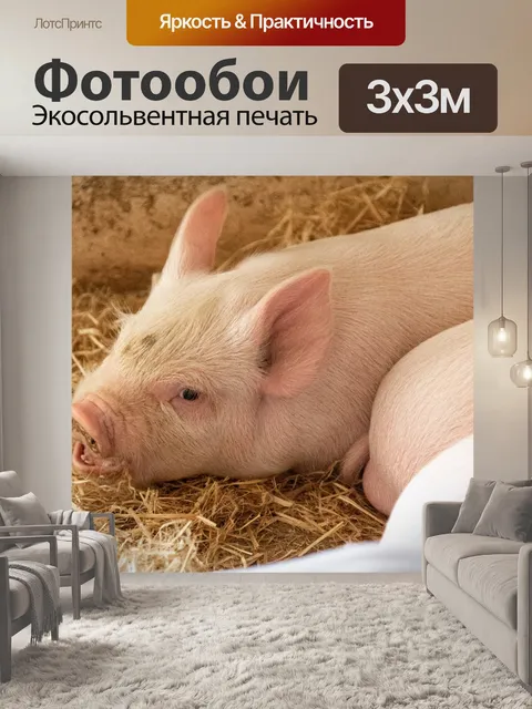 Фотообои Маленький поросенок