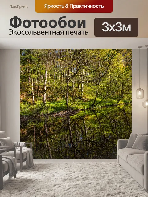 Фотообои Лес в Скиптоне