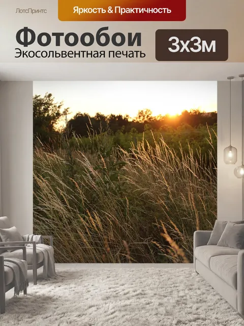 Фотообои Заход солнца