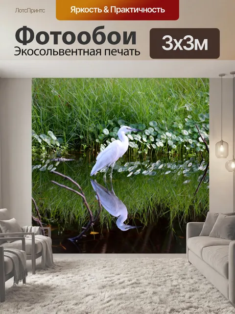 Фотообои Белая цапля