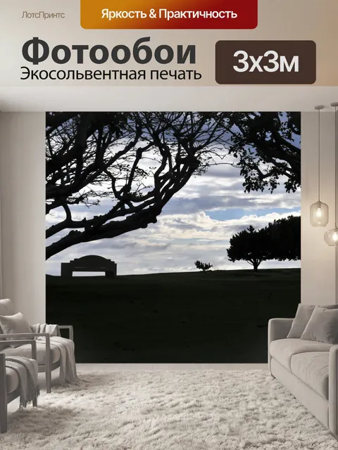 Фотообои Силуэт сидений