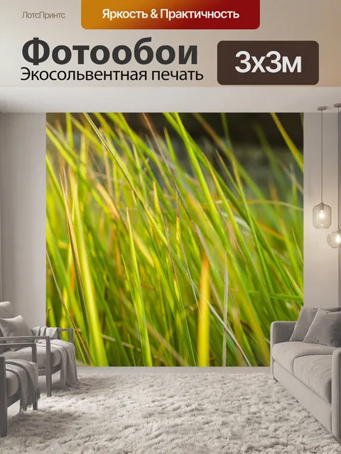 Фотообои Дикий цветок в Таиланде