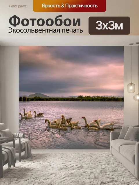 Фотообои Гуси