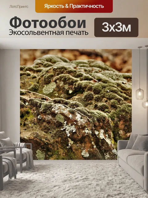 Фотообои Мох и лишайники на камне