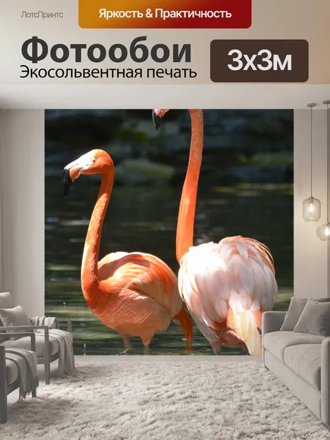 Фотообои Розовый фламинго