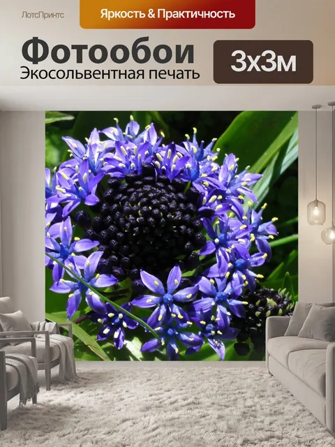 Фотообои Синий и фиолетовый цветок