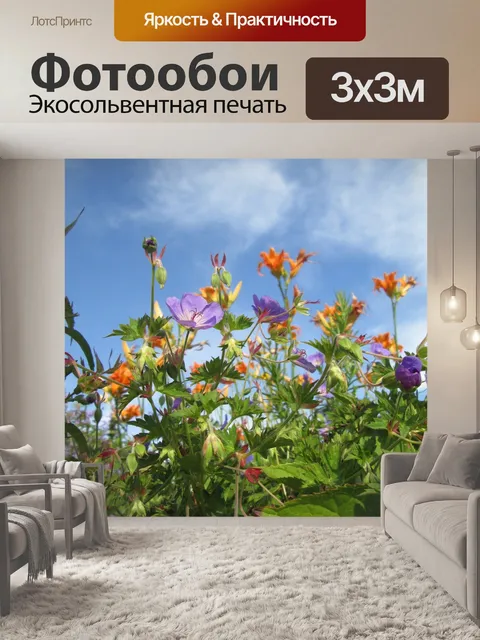 Фотообои Цветы