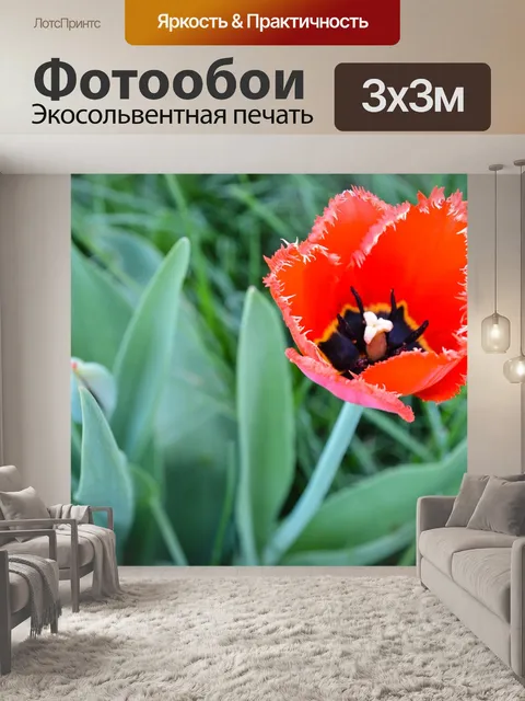 Фотообои Маки