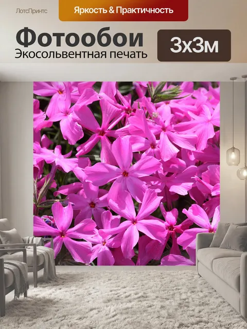 Фотообои Розовые ползучие цветы флокса