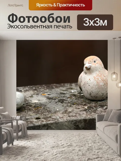 Фотообои Птица